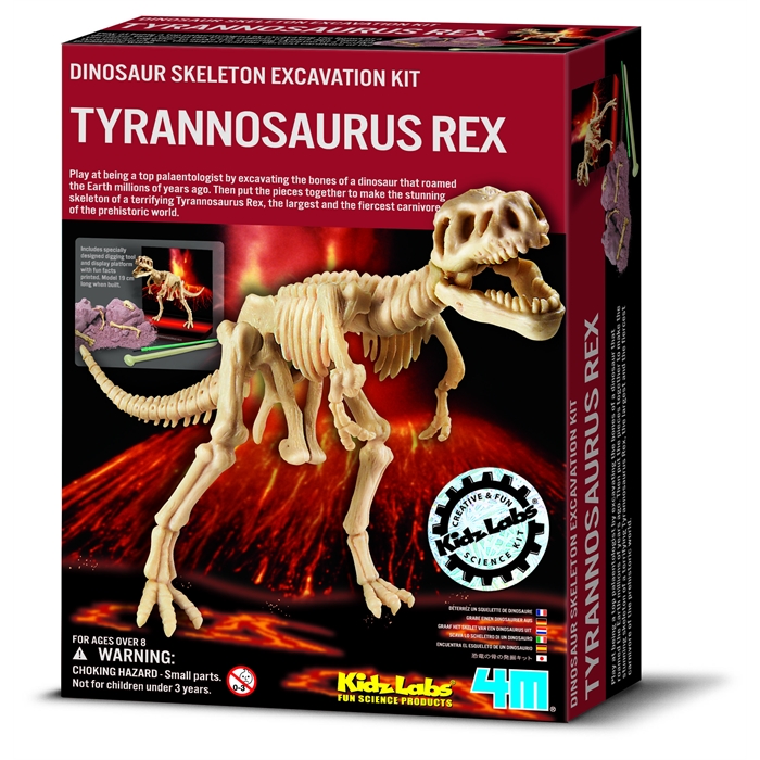 Dig a T-Rex Skeleton / Trex Kazı Seti