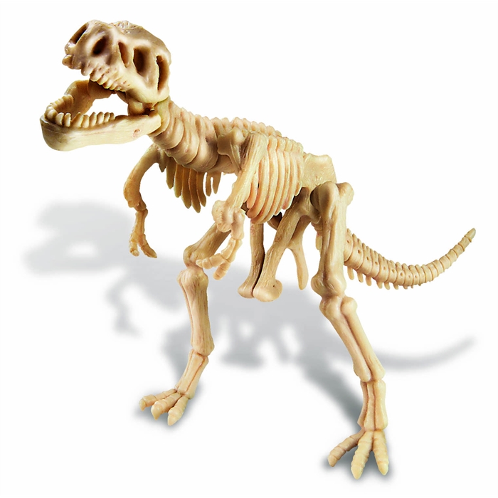 Dig a T-Rex Skeleton / Trex Kazı Seti