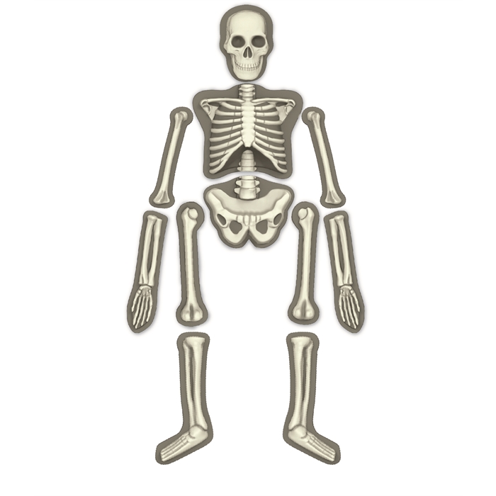 Glow Human Skeleton / Parlayan İskelet