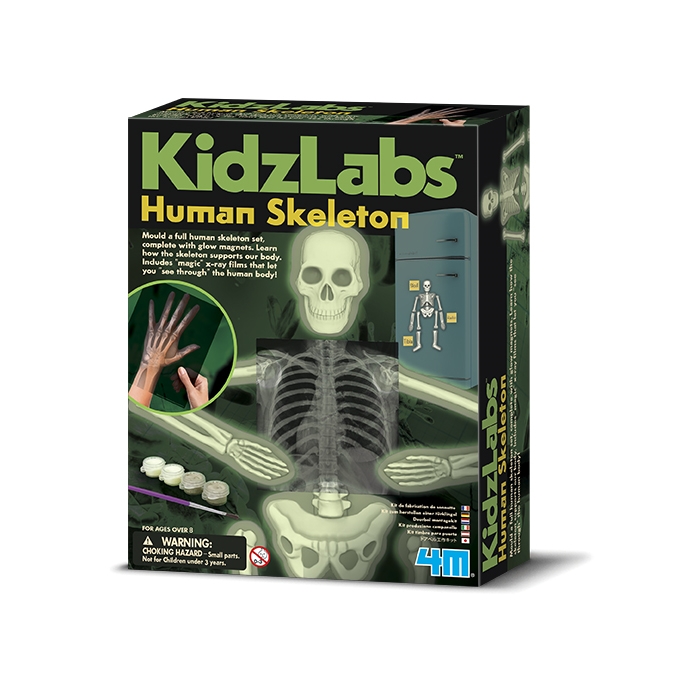 Glow Human Skeleton / Parlayan İskelet
