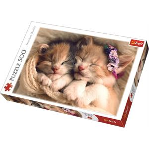 Sleeping Kittens 500 Parça Puzzle